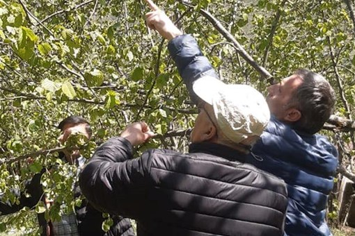 SAHA ÇALIŞMALARI DEVAM EDİYOR