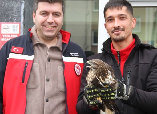 YARALI DOĞAN KORUMA ALTINA ALINDI