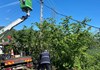 AHALLI MAHALLESİNDE ELEKTİRK ALT YAPIISINI GÜÇLENDİRMEK İÇİN ÇALIŞMALAR YAPILIYOR